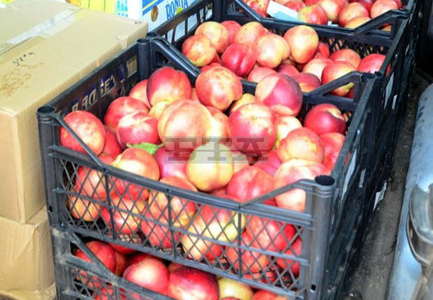 В Силистренско 6476 деца ще получат плодове и 5862 мляко и млечни продукти по схема В Силистренско 6476 деца ще получат плодове и 5862 мляко и млечни продукти по схема