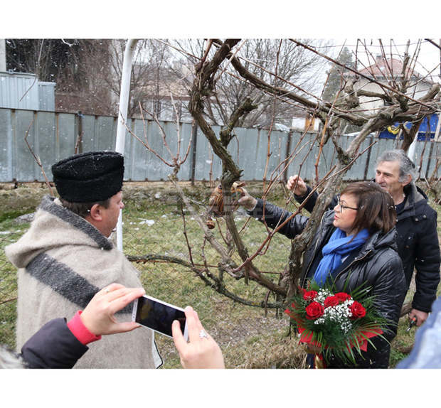 Корнелия Нинова заряза ритуално лозите в Лесново Корнелия Нинова заряза ритуално лозите в Лесново