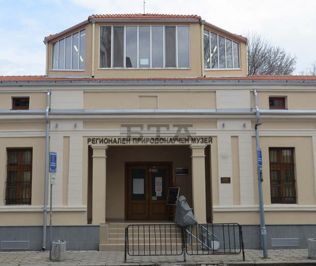 Нова витрина с екзотични летящи животни откриха в Регионалния природонаучен музей - Пловдив