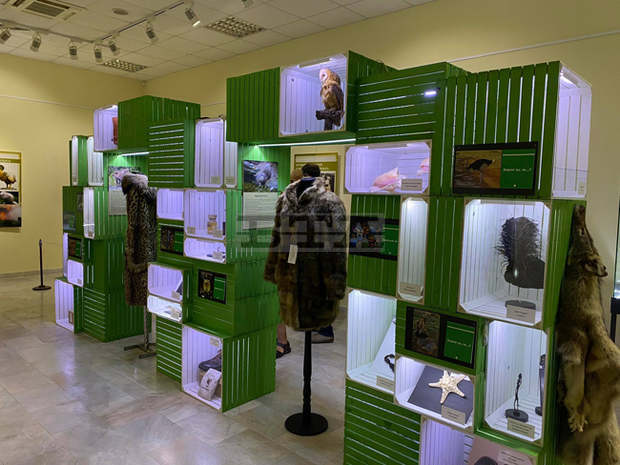 В Плевен утре е последният ден на гостуваща изложба в защита на изчезващи видове животни