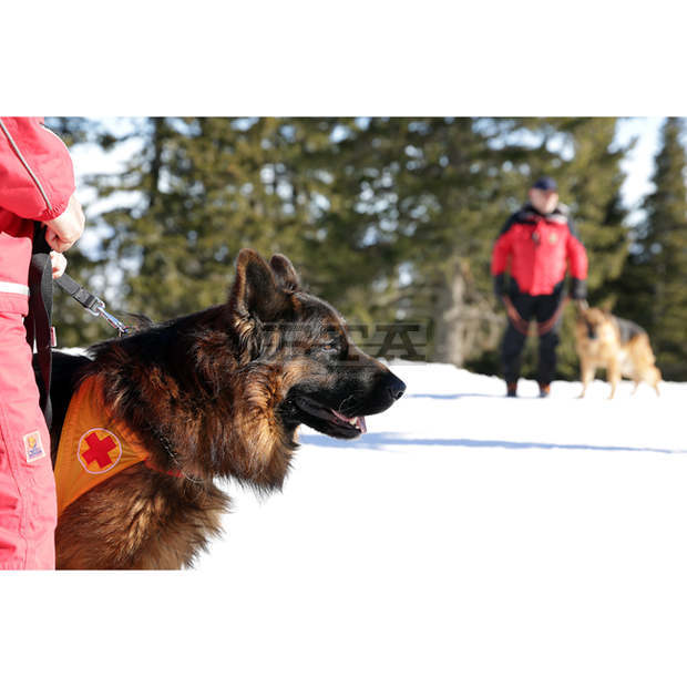 Туристите са по-подготвени за планината, но има и хора, които я подценяват, според планински спасител