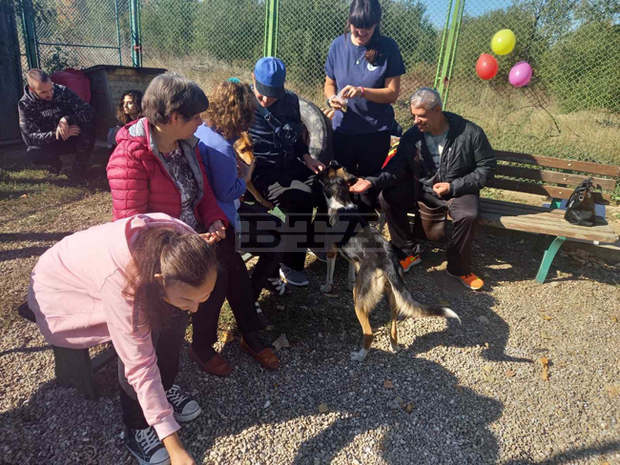 Деца, кучета и приятели на животните отбелязаха в Пловдив Деня за защита на животните