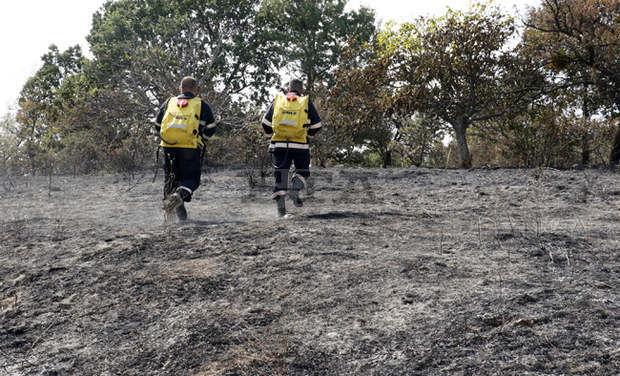 Очаква се включването на хеликоптер в потушаването на горския пожар в Свиленградско