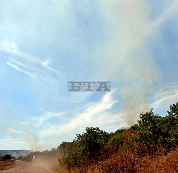 Пожар е възникнал в землището на димитровградското село Добрич