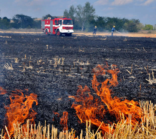 Пожарникарите в Търговище са реагирали на 33 лъжливи повиквания през 2019 г.