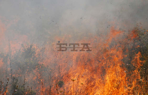 Пожар на площ 300 декара е възникнал близо до Симеоновград