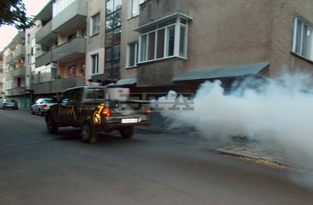 Във Видин продължават пръсканията срещу комари заради голямата им популация през този сезон