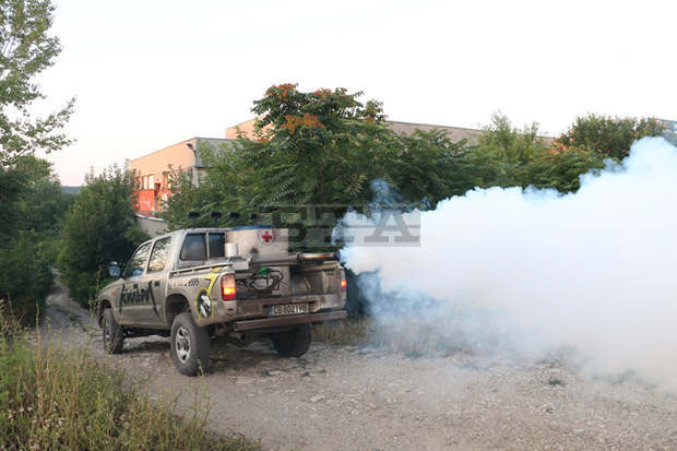Обработват тревните площи във Видин допълнително срещу комари и бяла американска пеперуда