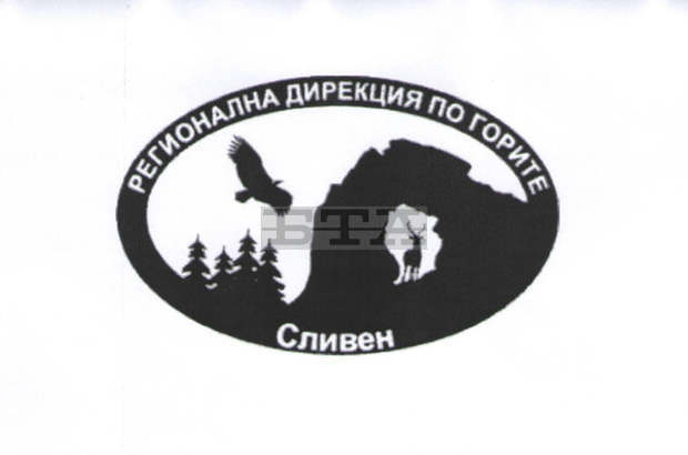 Горски служители в Сливен предотвратиха бракониерски лов