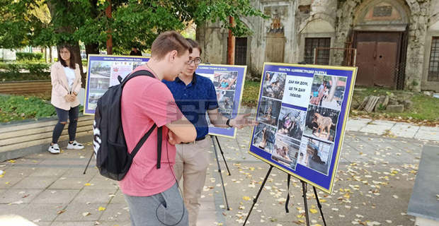 Изложба на открито разказва за животните от приюта в Разград