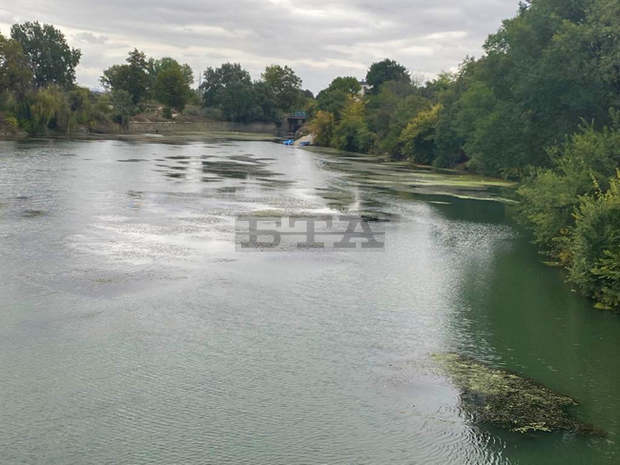 Започна почистване и зарибяване на бетонираното корито на река Тунджа в Ямбол