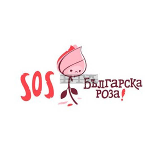 Започва кампания за спасяване на дейността на розопроизводителите в България - "SOS Българска роза"
