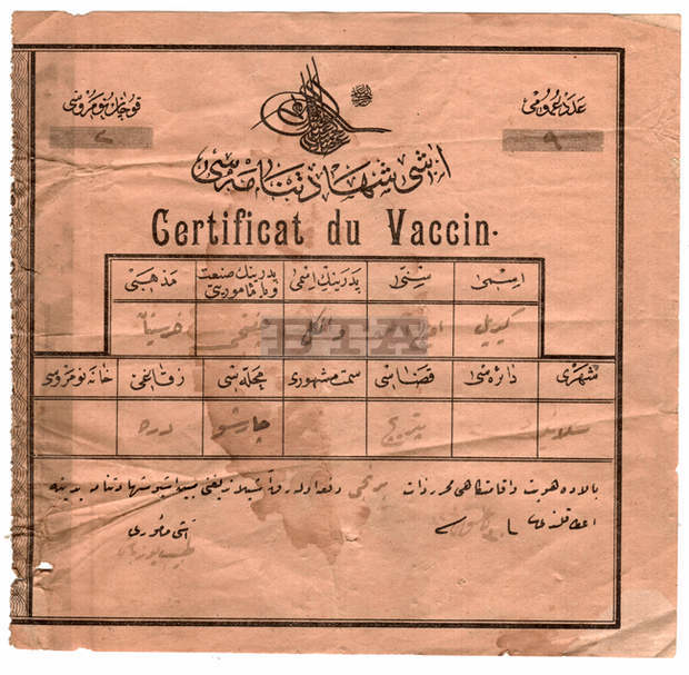 Сертификат за ваксинация от началото на двадесети век е сред експонатите на Исторически музей - Петрич