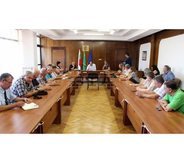 В Севлиевската община започва принудително умъртвяване на домашните прасета.