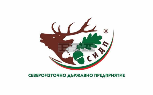 Екипи на Североизточното държавно предприятие са в 24-часова готовност за реакция при пожар в горските територии