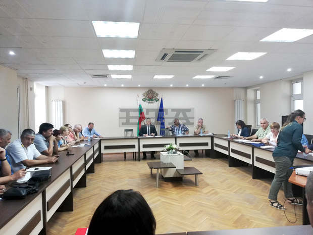Ликвидирането на стопанствата тип "заден двор" ще спаси промишленото свиневъдство, смятат експерти Ликвидирането на стопанствата тип "заден двор" ще спаси промишленото свиневъдство, смятат експерти