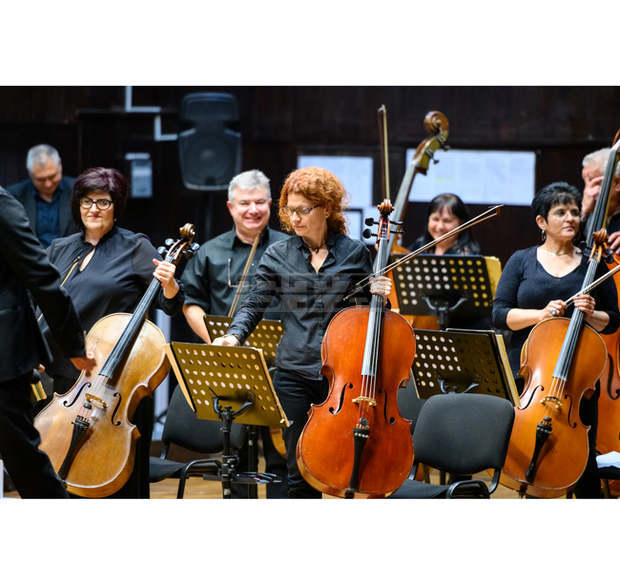 Видинската Симфониета стартира  дейности по проект "Виртуална музикална школа"