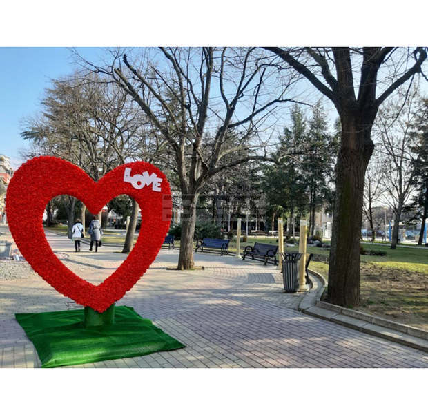 С голямо сърце от рози в центъра на Казанлък общината отбелязва Деня на влюбените С голямо сърце от рози в центъра на Казанлък общината отбелязва Деня на влюбените