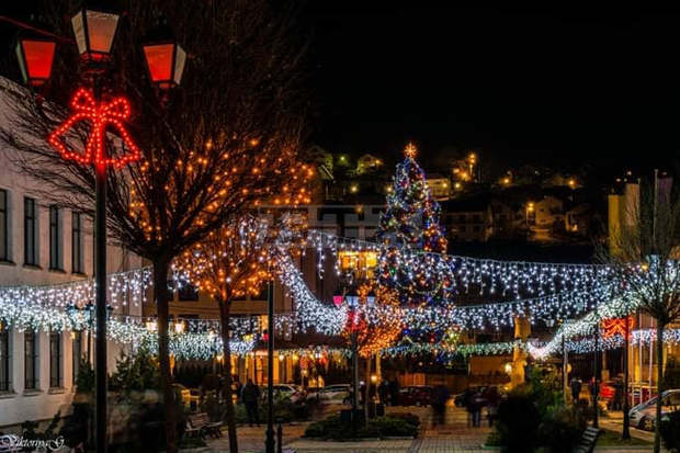 Трън украсява над 24-метрова жива елха