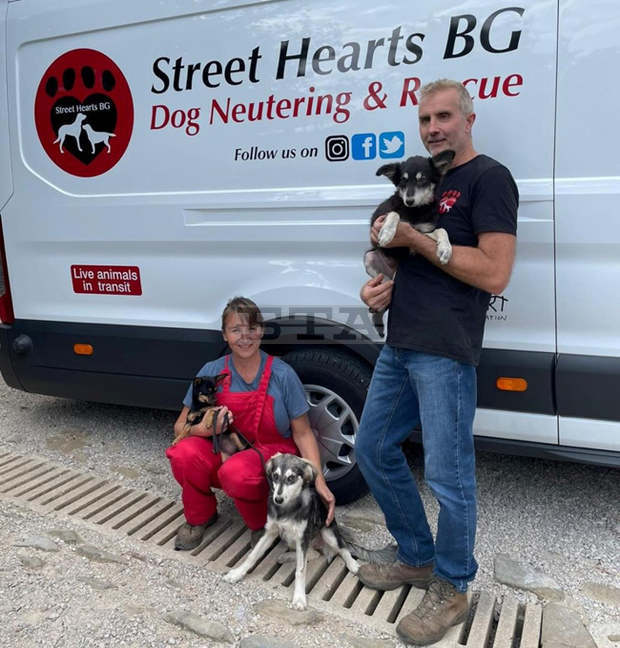 Тревненци могат да кастрират безплатно домашните си любимци в приюта за бездомни кучета в село Глушка