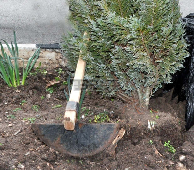 Граждани и детски заведения имат заявки за участие в конкурсите на община Търговище Граждани и детски заведения имат заявки за участие в конкурсите на община Търговище