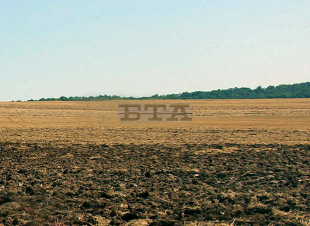 Община Тервел ще предостави на търг 2355 декара земеделски земи под наем