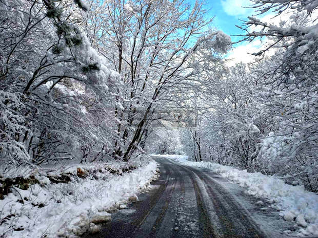 Всички пътища  в Община Асеновград са проходими