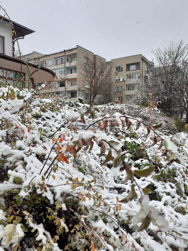 Пътищата в област Разград са проходими при зимни условия