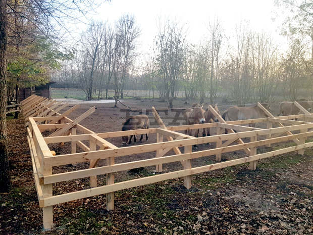 С подкрепата на швейцарски партньори в зоопарка в Добрич  са ремонтирани къщички на обитатели и е изградена нова ограда