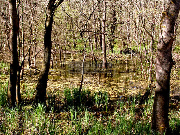 Община Балчик е финалист за "Черноморските Оскари"