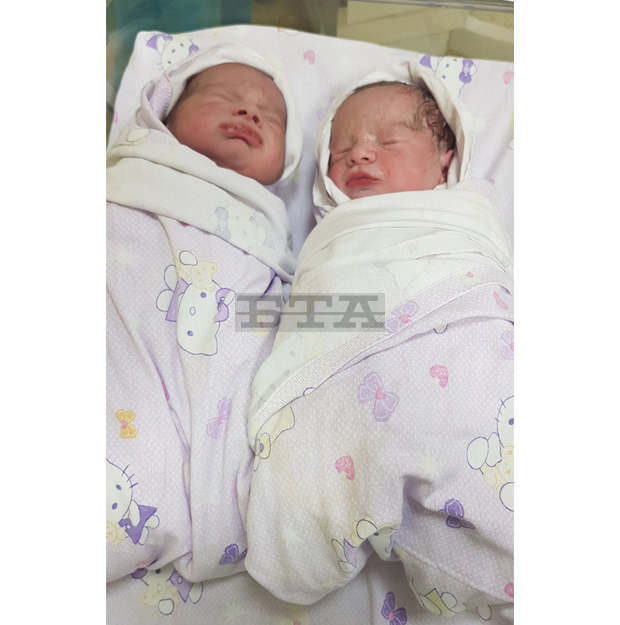 Близнаци са се родили днес благодарение на инвитро програмата на Столичната община