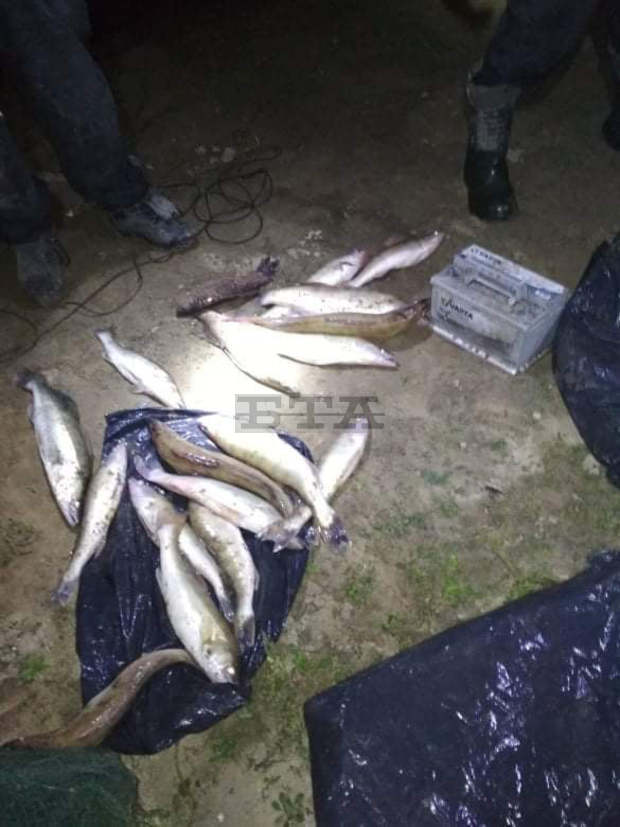 Осуетен е бракониерски набег във водите на язовир "Ястребино" край Антоново