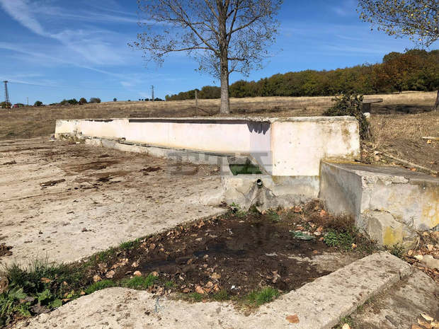 Изселници в Турция инициират кампания за облагородяване на гробищни паркове в родното село в България