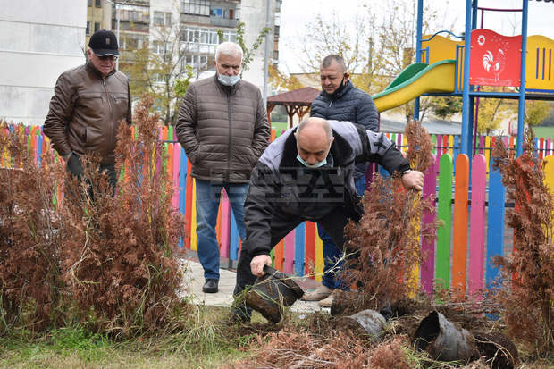 Стотици изсъхнали дръвчета в Разград ще бъдат подменени
