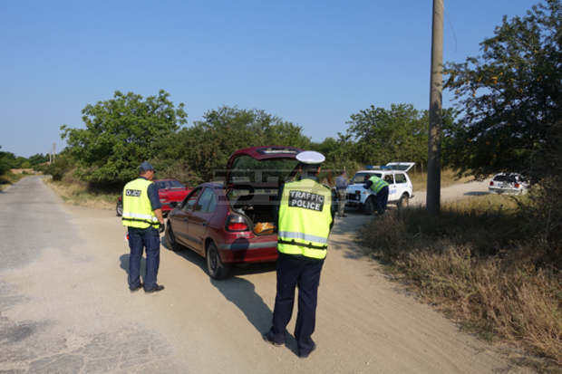Тридесет и шест растения от рода на конопа са намерени и иззети при специализирана полицейска операция в село Преселка, Шуменско
