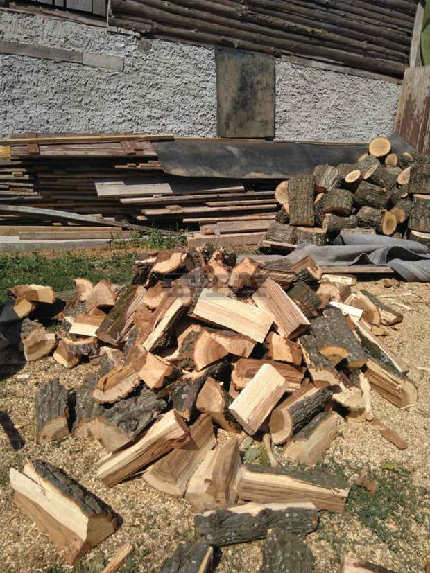 Полицейски служители са разкрили седем случая на крадени дърва при акция в разградската община Завет