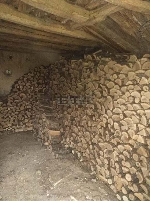 Незаконно добити дърва са намерени при полицейска акция в Лознишко