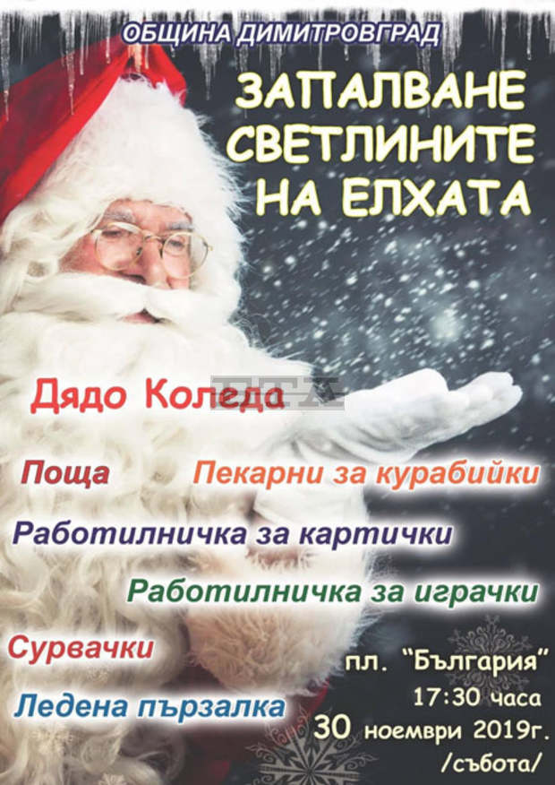 Светлините на живата коледна елха в Димитровград ще бъдат запалени на 30 ноември