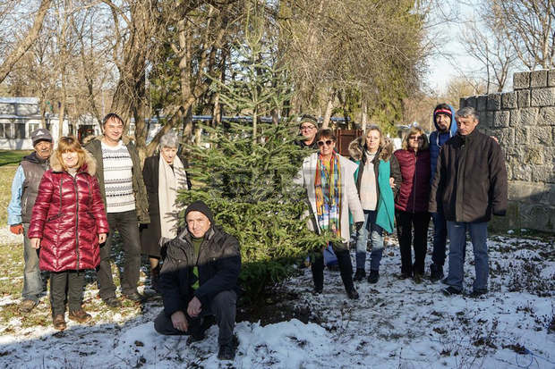 Музейни работници посадиха елхи в Разград