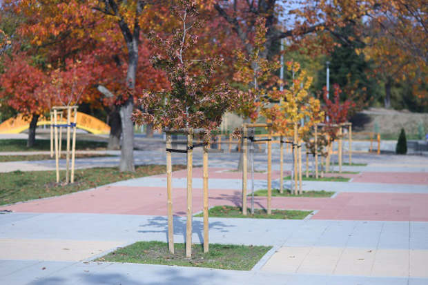 Над 200 фиданки са засадени в Северния парк през тази есен