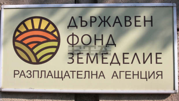 Млади разградски фермери получиха подкрепа от еврофондовете за стартиране на проектите си