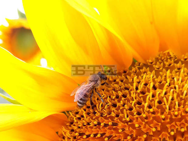 Млади майстори на фотообектива запечатаха в стотици кадри мигове от живота в Разград