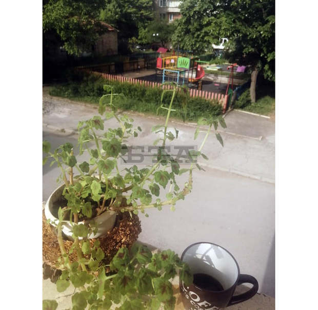 Галерията в Кюстендил показва традиционната изложба на кюстендилските художници виртуално