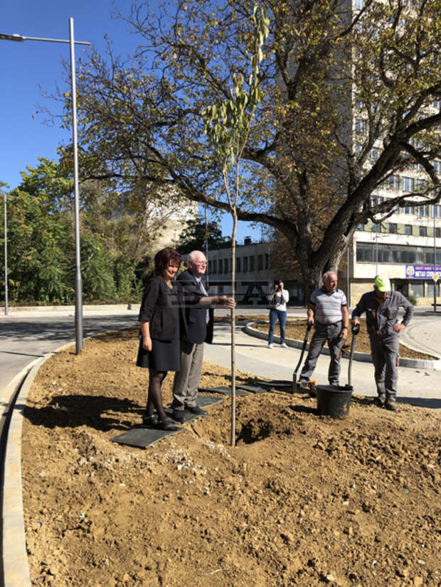 Дърво на приятелството посадиха в Габрово белгийски дипломати и домакините от местните администрации Дърво на приятелството посадиха в Габрово белгийски дипломати и домакините от местните администрации