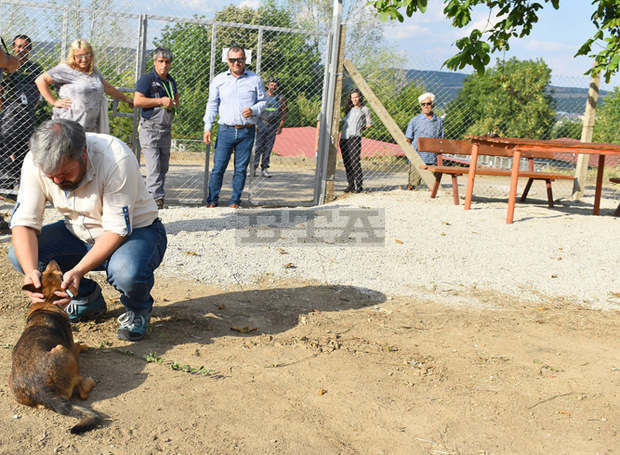В Приюта за бездомни животни в Разград вече има площадка за разходка на кучета