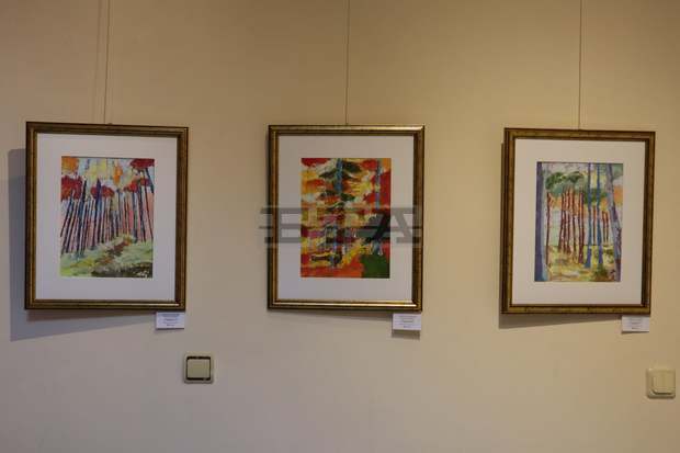 Френски художник гостува на пловдивската галерия "Савов