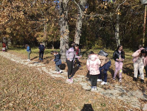 Ученици от разградското село Острово събираха жълъди за есенно залесяване с дъб