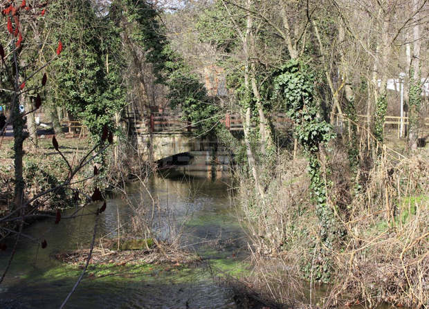 Започна почистването на част от река Тученица в плевенския парк "Кайлъка"