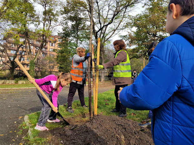 Община Бургас започва масово засаждане на дървета  като мярка срещу мръсния въздух