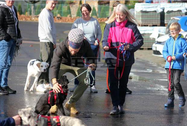 Двайсет и две кучета от столичните общински приюти отиват при новите си семейства в Германия